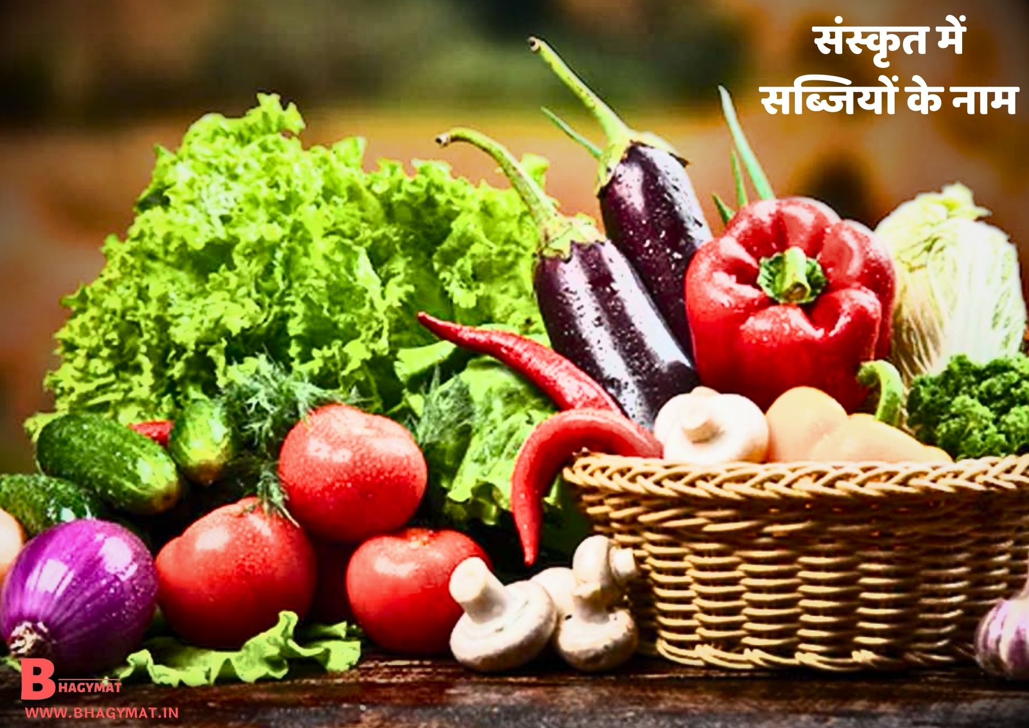 संस्कृत में सब्जियों के नाम (सब्जियों के नाम संस्कृत में) - Sabjiyon Ke Naam Sanskrit Me (Sanskrit Me Sabjiyo Ke Naam) - Sanskrit Mein Sabjiyon Ke Naam, Sabjiyon Ke Naam Sanskrit Mein