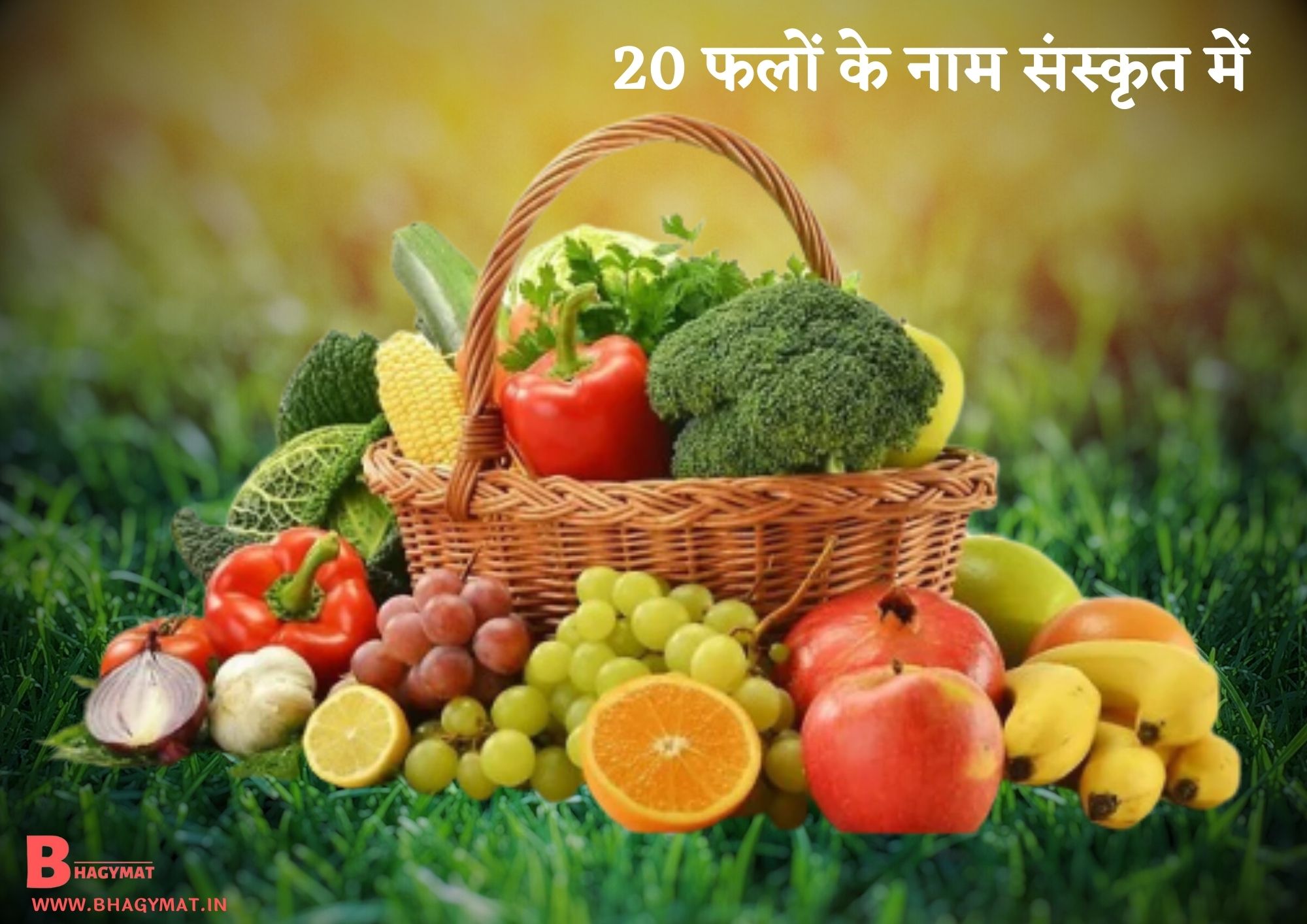 20 फलों के नाम संस्कृत में {संस्कृत में 20 फलों के नाम} (20 Falo Ke Naam Sanskrit Mein) - Sanskrit Mein 20 Falo Ke Naam
